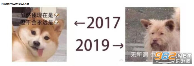 2017��2019�Ա���ʲô�� ��ôŪ2017��2019�Աȵ�ͼƬ����