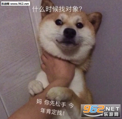 ʲôʱ���Ҷ�������