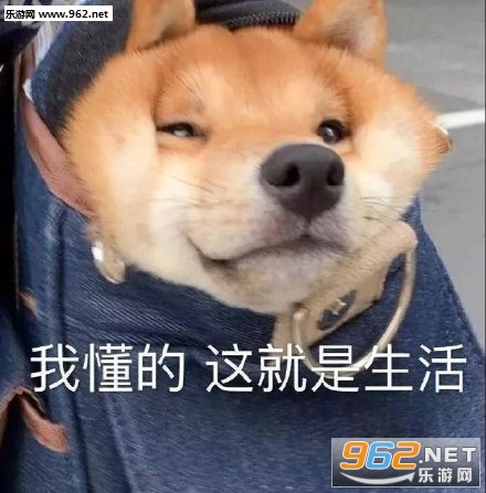 ���ҿ���˭�ֿ����˱������ͼ4