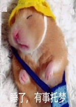�������ѵ�Ů����ͼƬ�����