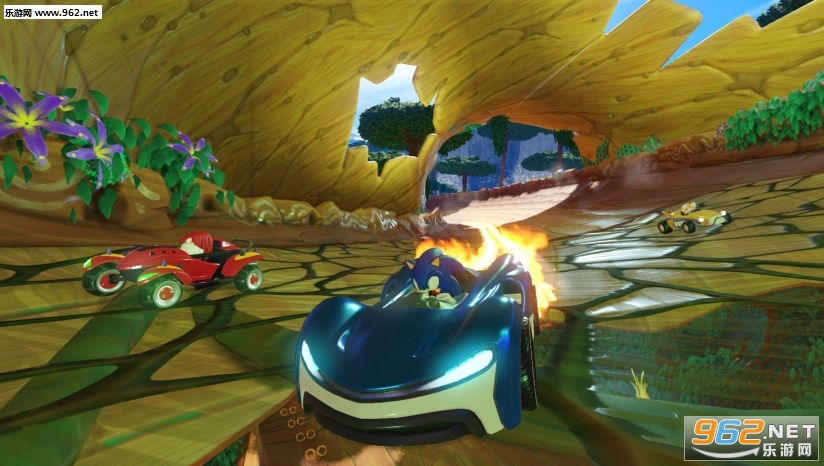 sonic racing car(��Ѷ�Ŷ�����������ֻ���)��ͼ1