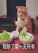 ǩ�ֻ�Ѻ�Ӵ˲��������˱����