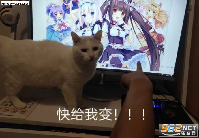 ����ұ�������ͼ3
