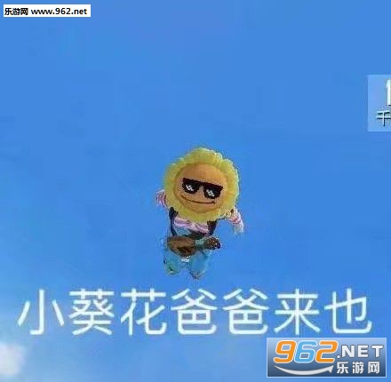 Ƥ�����ı������ͼ2