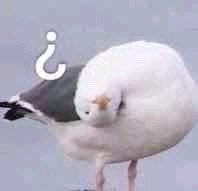 Ƥ�����ı������ͼ5