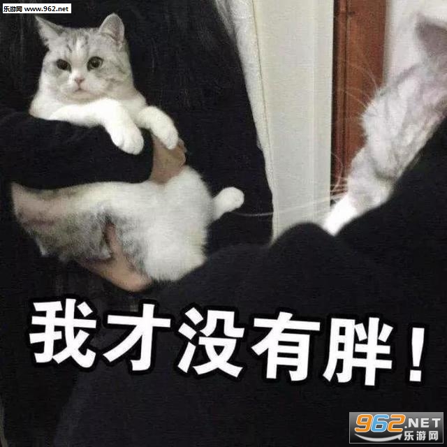 Ϊʲô�����ұ������ͼ2