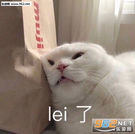 lei��lei�˱������ͼ0