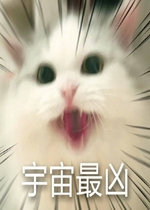 lei��lei�˱����