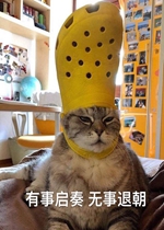 ���»ں޵���ˮ�����