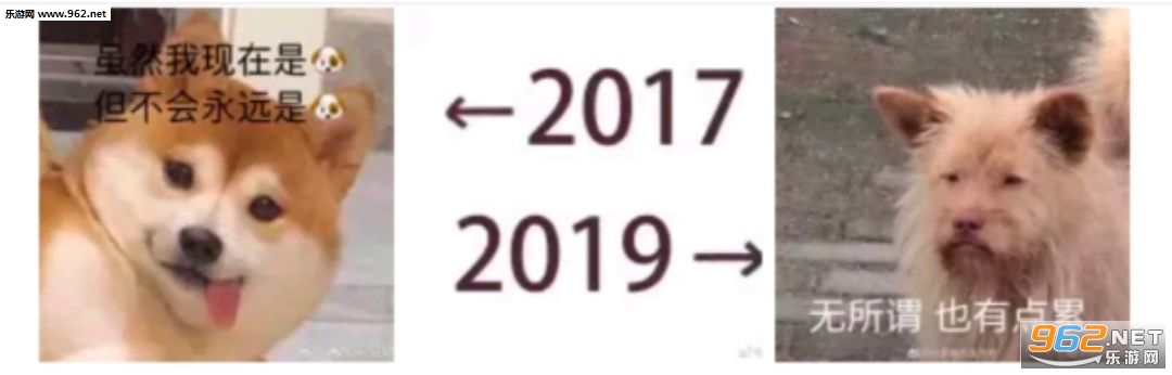 2017��2019ͼƬ