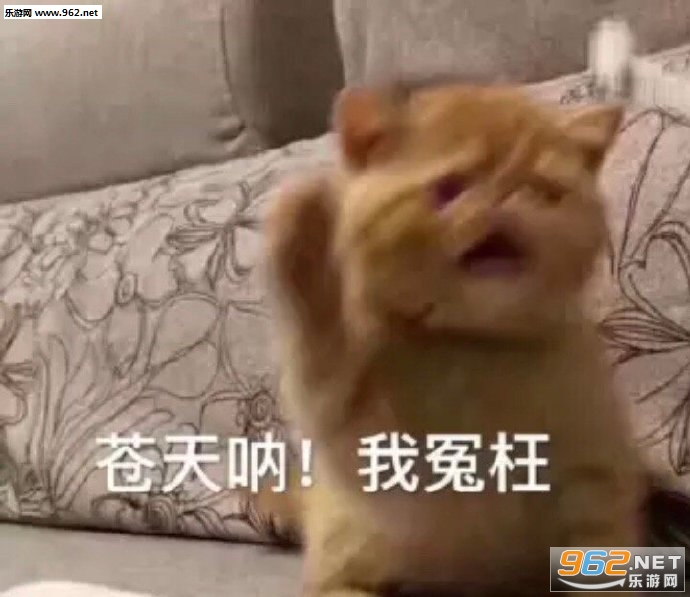 ���ͷ�񴦶���������ͼ1