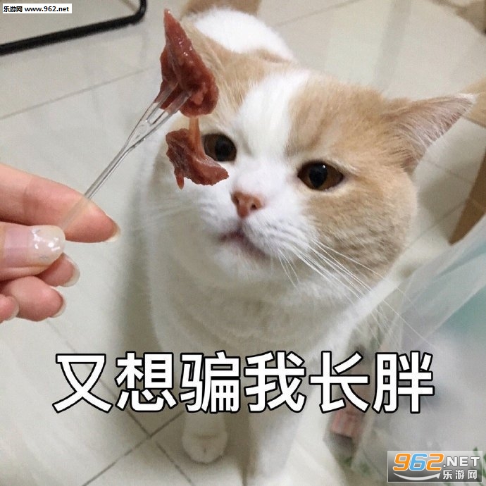 ����ƭ�ҳ��ֵı������ͼ3