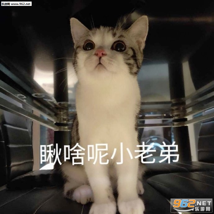 ����ƭ�ҳ��ֵı������ͼ4