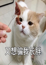 ����ƭ�ҳ��ֵı����