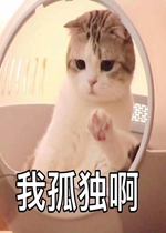 û������Ӧ�ÿ��Ը��ӱ����