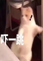 ��һ����ͼƬ�����