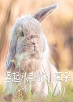 ���𹷶���jerry�����