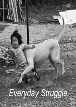everyday struggle�����