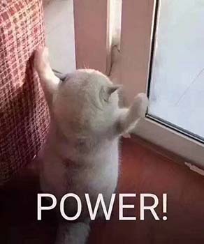 powerèè�����