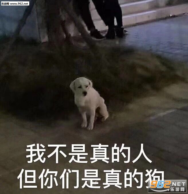 举杯痛饮这碗庆功酒表情包 举杯痛饮这碗庆功酒表情包