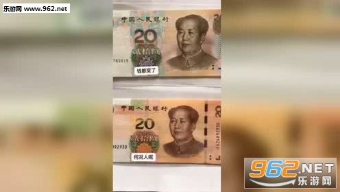 ��������������ʮ��һ֧��õ����ͼ