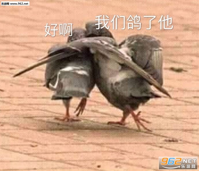 ���������˾���ë��ͼƬ�����