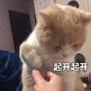 С�������Ƿ��кܶ��ʺű����