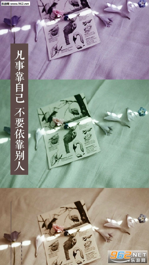 尝尽了酸甜苦辣壁纸