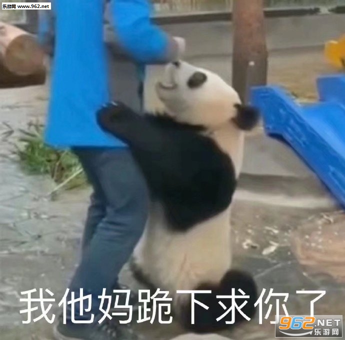 已经无所谓了表情包 已经无所谓了表情包