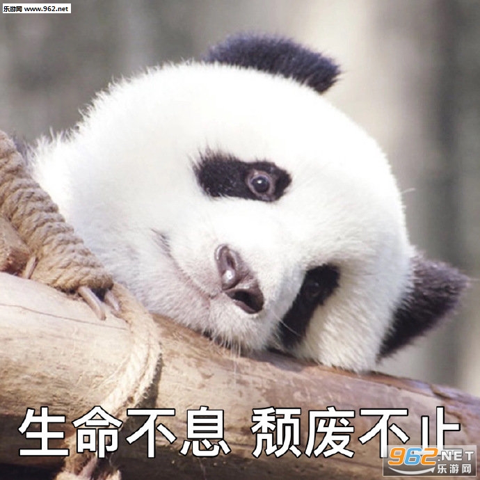 已经无所谓了表情包 已经无所谓了表情包