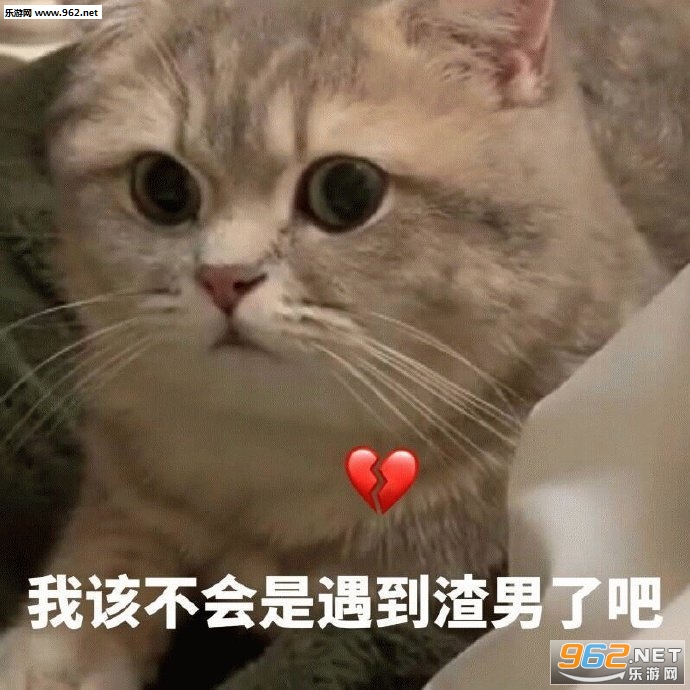 已经无所谓了表情包 已经无所谓了表情包