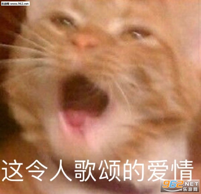 �������˱����