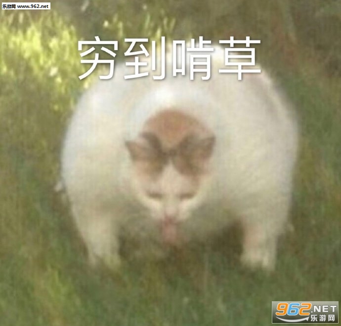 ������������������