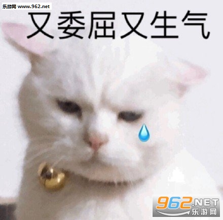 ������������������
