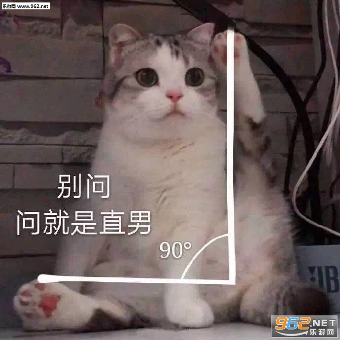 �����˹����������