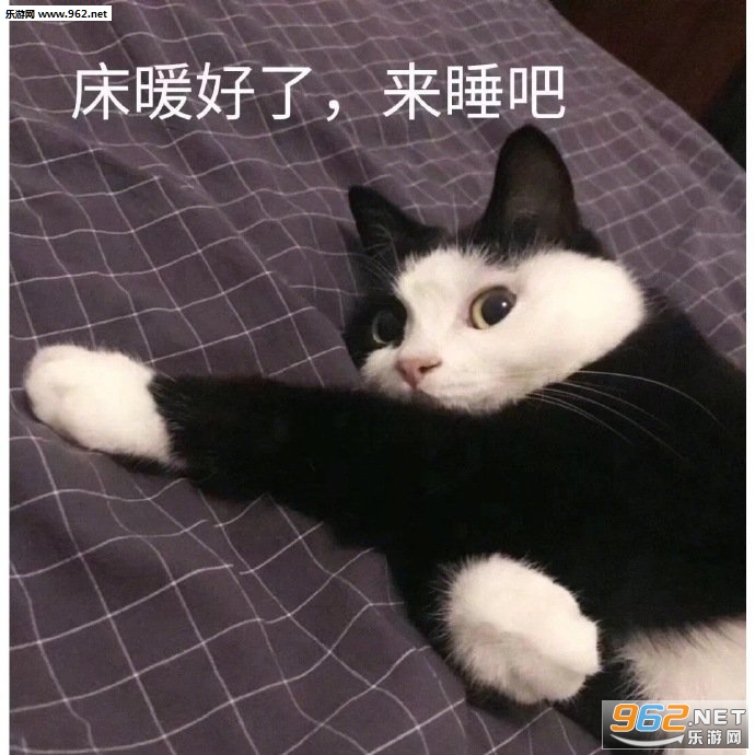 怂又不服气的眼神表情包 怂又不服气的眼神表情包