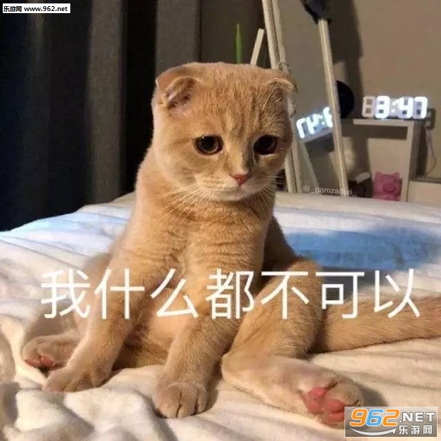 怂又不服气的眼神表情包 怂又不服气的眼神表情包