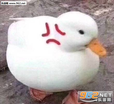 �����duck���ر����