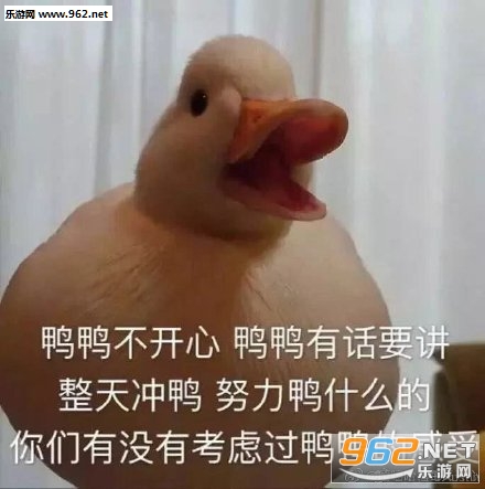 �����duck���ر����
