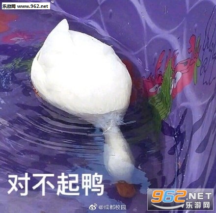�����duck���ر����