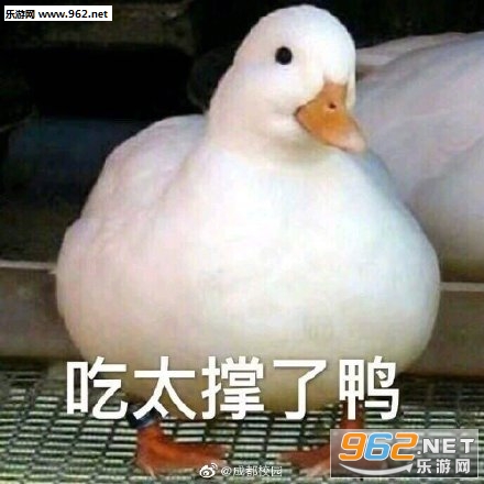 �����duck���ر����