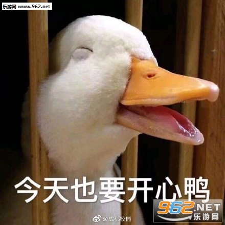 �����duck���ر����