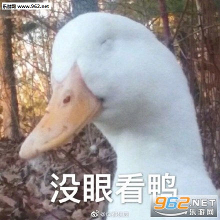 �����duck���ر����