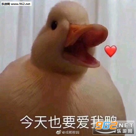 �����duck���ر����