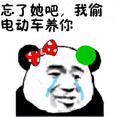 ����������͵�綯����������