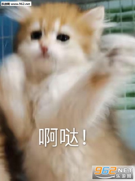 èèȭ�����