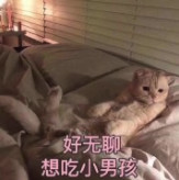���ѡ�������˱����