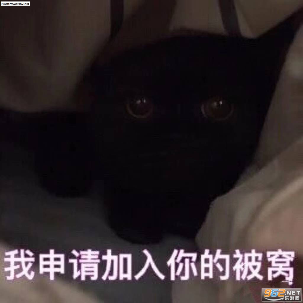 �����������ı��ѱ����