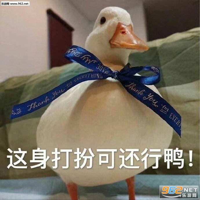 �����Խ����Ա����