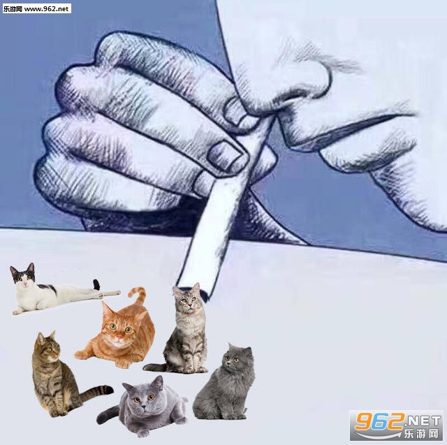 �����Խ����Ա����